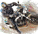 Benutzeravatar