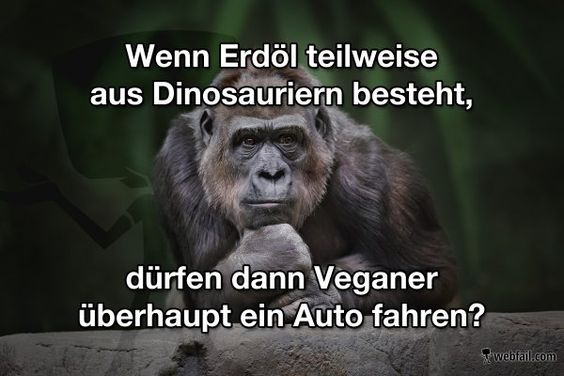 b2681324423e1685189bab1779efdfe9.jpg