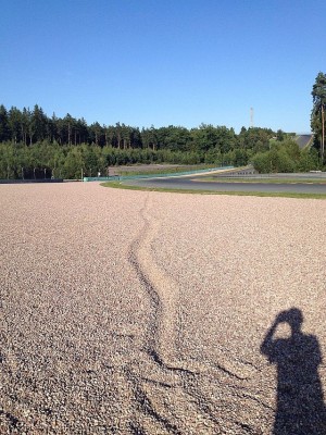 IMG_1872.jpg