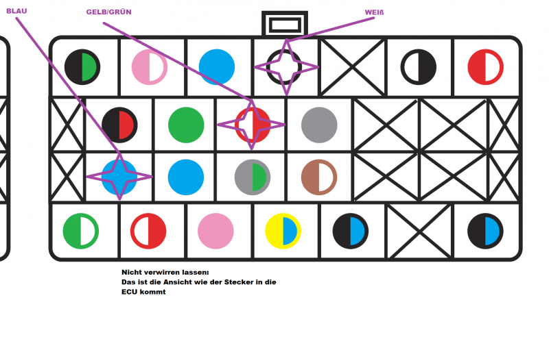 Anschlussplan ECU Steckker klein.png