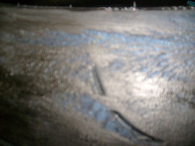 S6300024.JPG