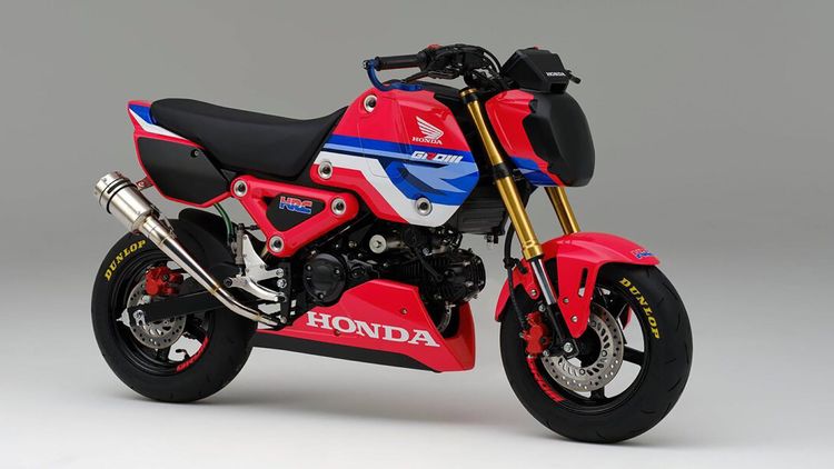 Honda-MSX-125-Grom-Modelljahr-2021-HRC-Version-bigMobileWide2x-9d2d587e-1734802.jpg