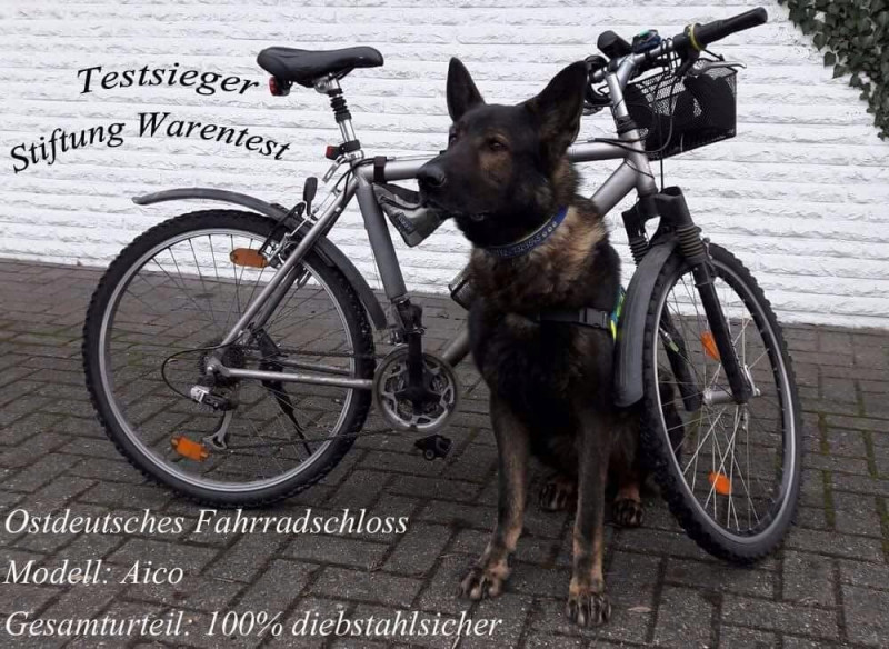 Fahrradschloss.jpg