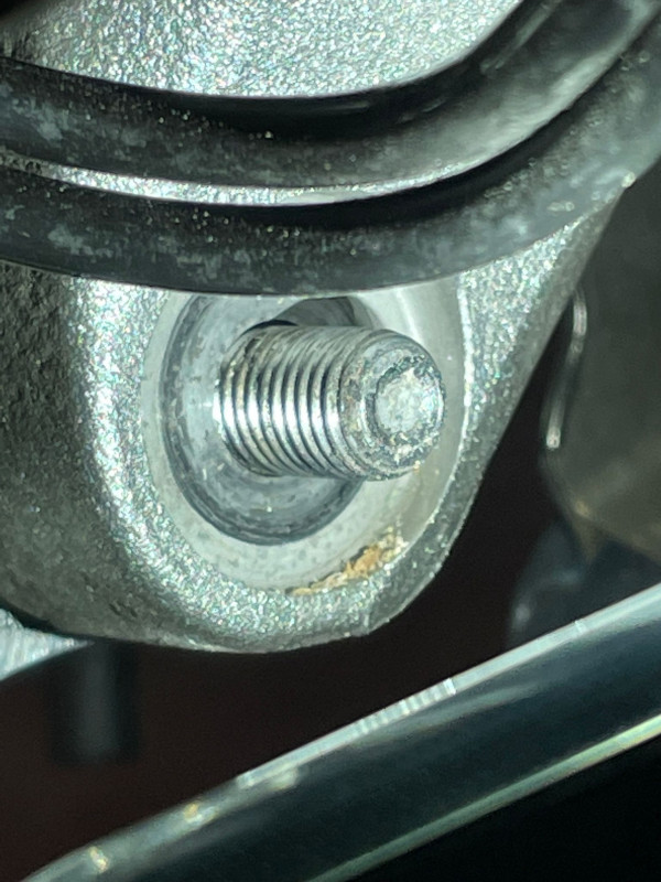 WhatsApp Image 2023-02-18 at 19.44.11.jpeg