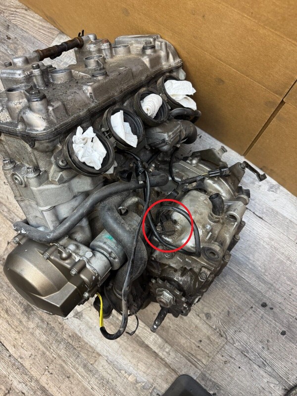 speed sensor.jpg