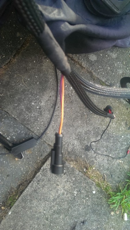 IMAG0204 (Small).jpg