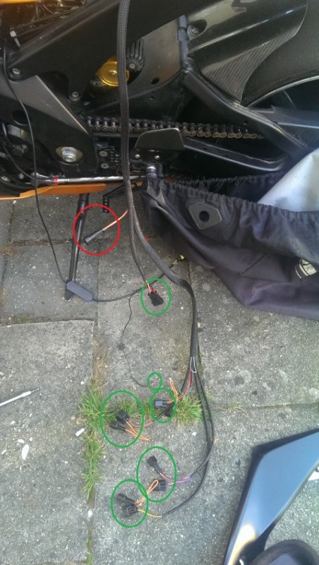 IMAG0203 (Small).jpg