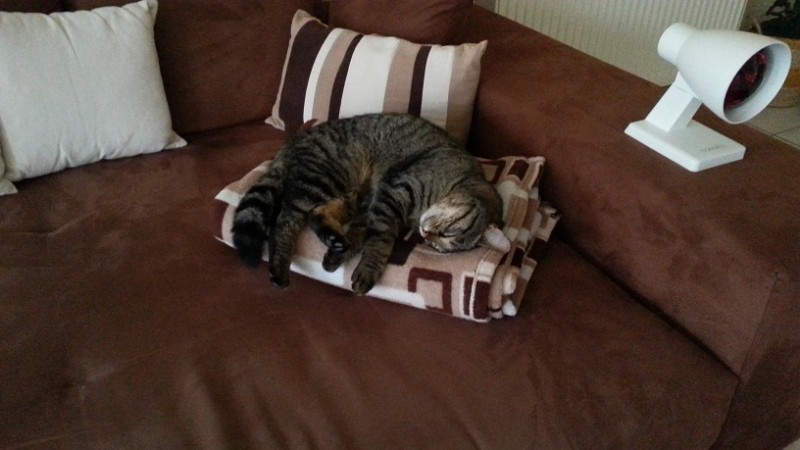 IMG-20141201-WA0005.jpeg