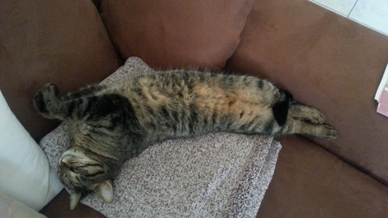 IMG-20150206-WA0006 - Kopie.jpeg
