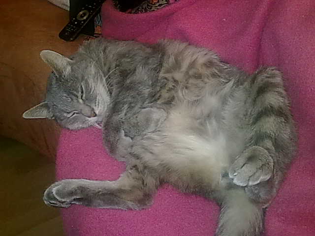 04032010221.jpg