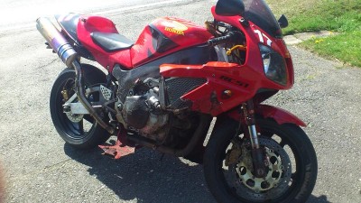 Rehbock-VTR01.jpg
