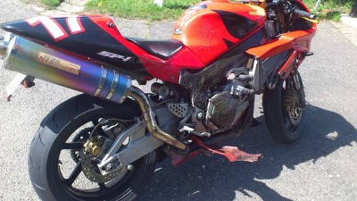 Rehbock-VTR03.jpg