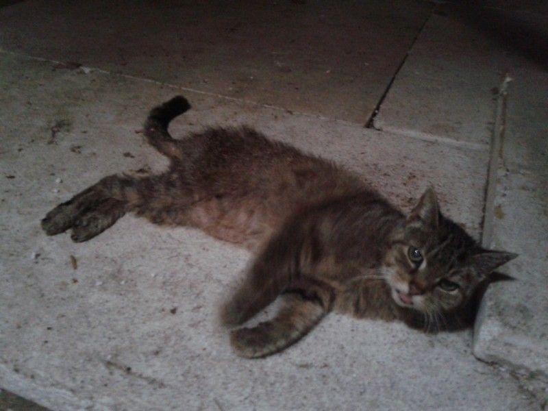 2012-09-17 13.36.54.jpg