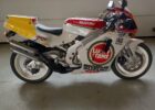 1991 Suzuki RGV 250
