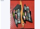 Aprilia RSV4 Schwingenschoner aus Carbon / Euro4 Schwinge